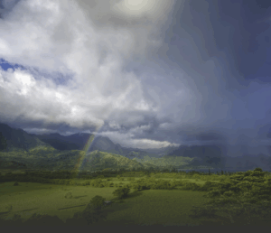 stabilność w środowisku